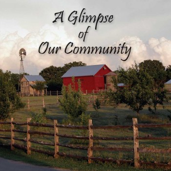 a-glimpse-of-our-community