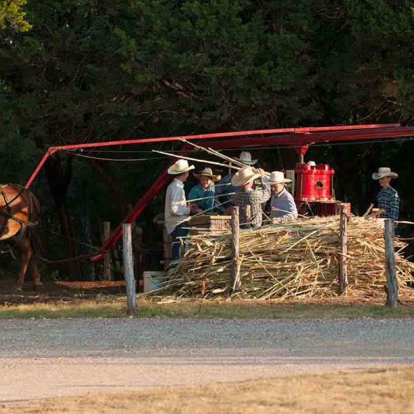 sorghum-festival-6 Labor Day Sorghum Festival